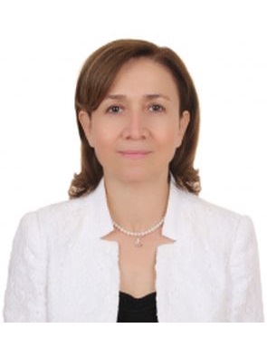 Prof. Dr. Yıldız Özsoy Erginer