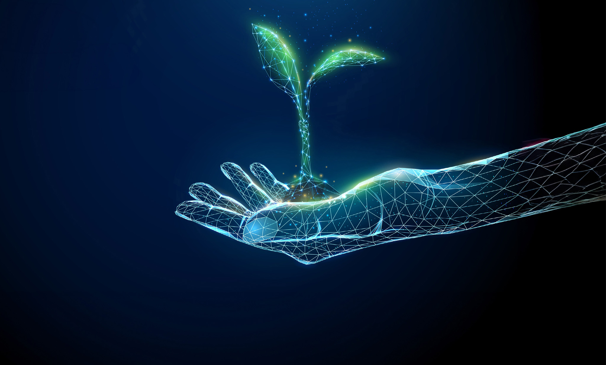 BİTKİ İSLAHÇI HAKLARI